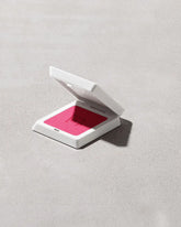 Fenty Cheeks Suede Powder Blush — Bubbleband$