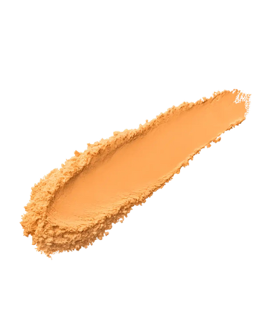 Pro Filt'r Instant Retouch Setting Powder — Honey